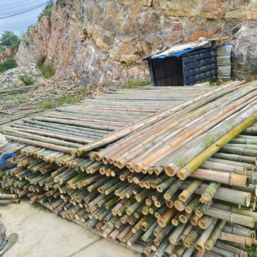 湖北精品毛竹杆基地直供量大从优价格实惠欢迎联系