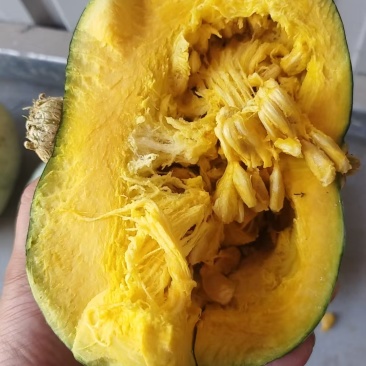 板栗南瓜