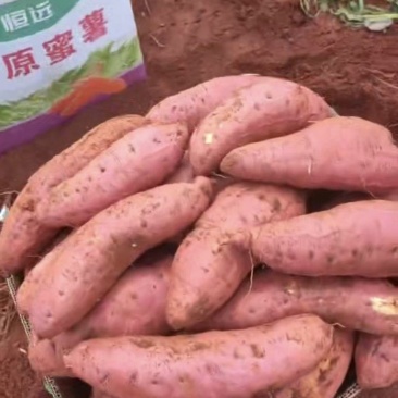 西瓜红