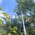 昭通高原苹果