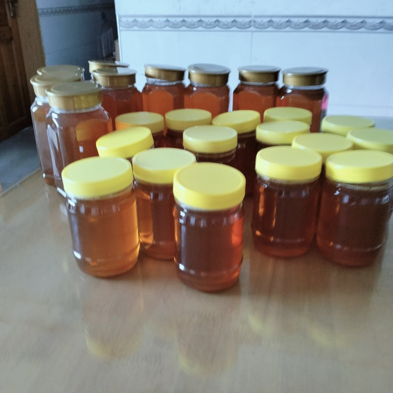 江西赣州土蜂蜜口感好，***品质有保证欢迎选购