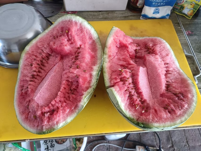 绿宝金花6号西瓜