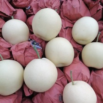 精品皇冠梨红香酥糖度高果面干净价位不高大量现货质量三包