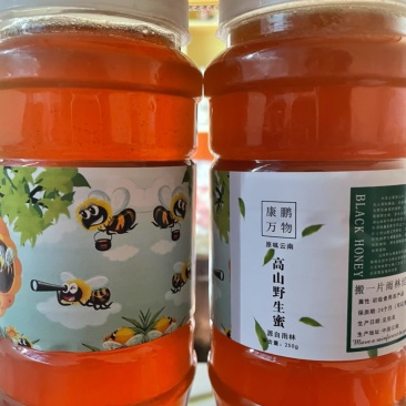 山旮旯里的百药花土蜂蜜（野蜂蜜）
