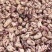七彩花生源头货源！鲜花生、干花生、花生米批量供应