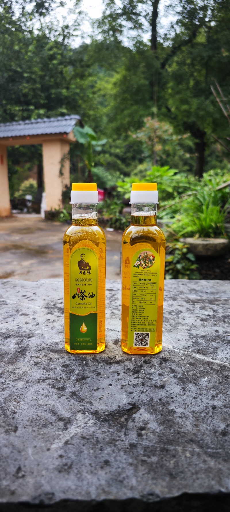 一手货源营养丰富山茶油随时有货