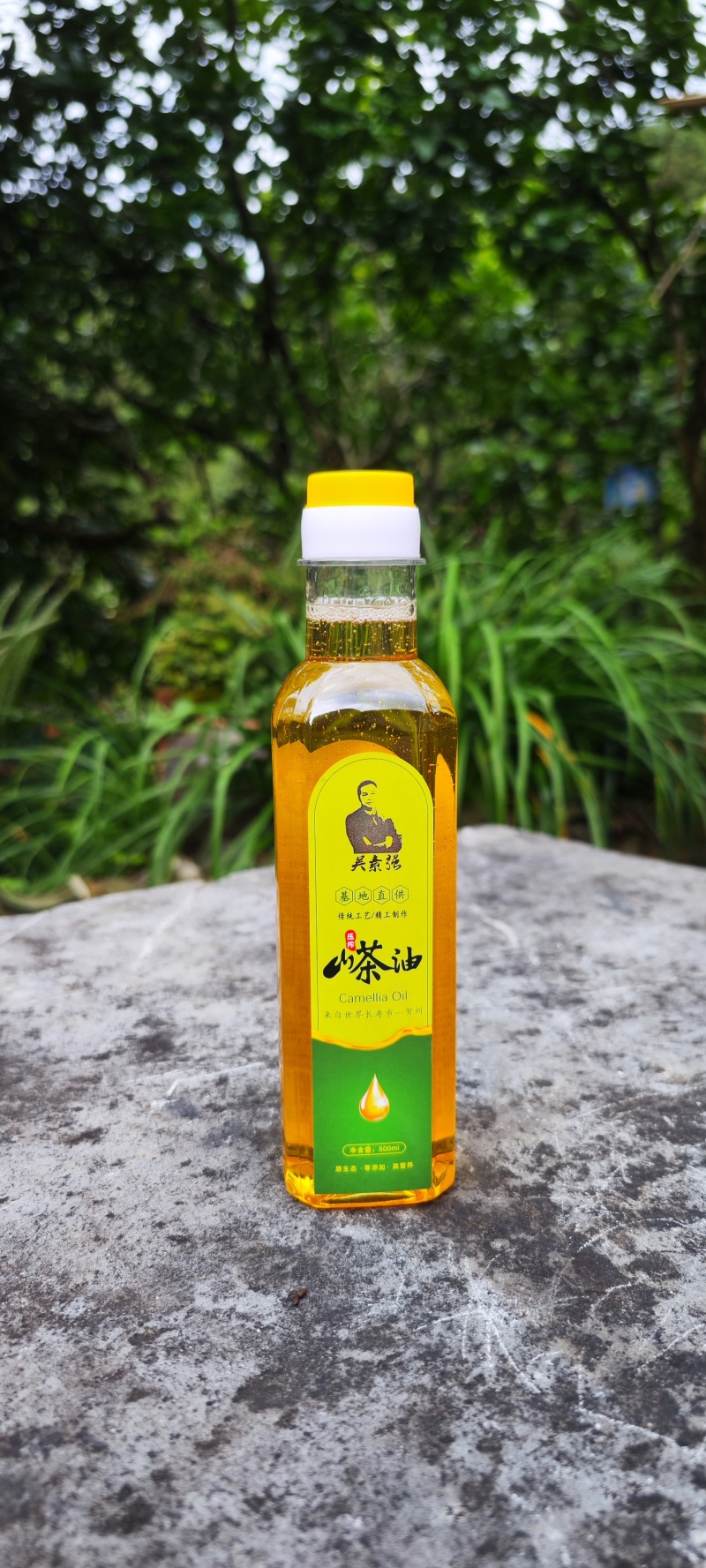 一手货源营养丰富山茶油随时有货