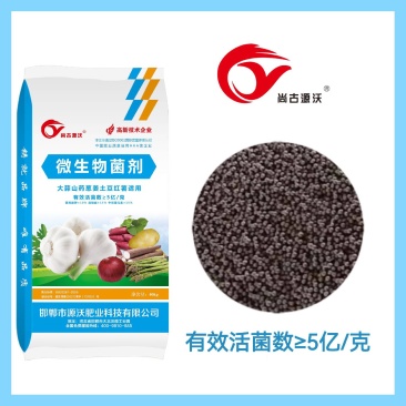 大蒜有机肥