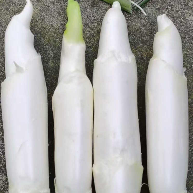 农户直发欢迎询价超精品浙江磐安高山茭白美人茭高笋