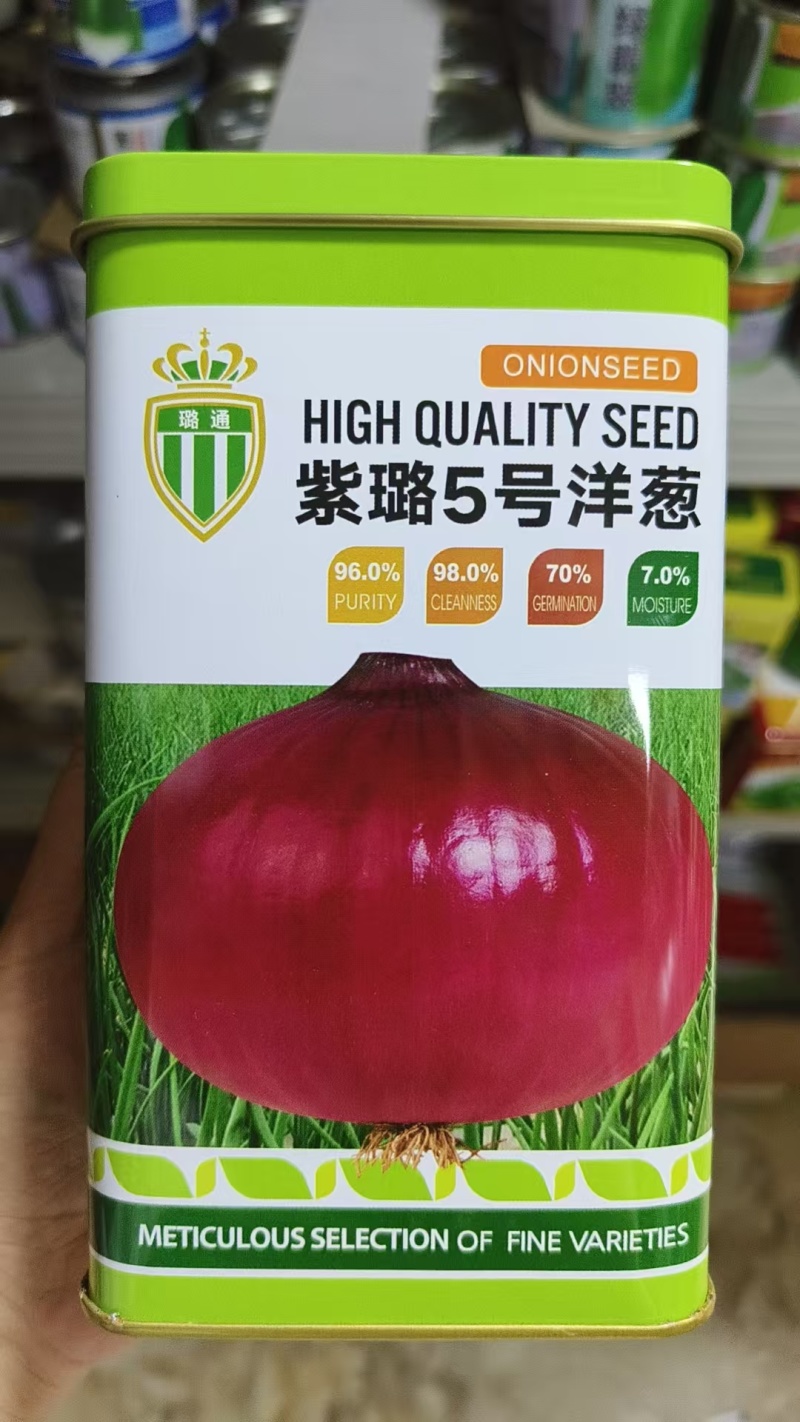 紫璐5号紫红皮洋葱种子耐寒抗病扁圆葱葱头球葱种籽大田种