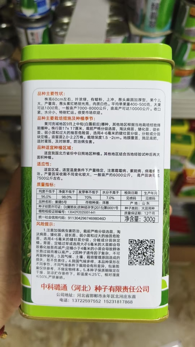 紫璐5号紫红皮洋葱种子耐寒抗病扁圆葱葱头球葱种籽大田种