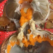 三门青蟹，母蟹中的红膏蟹！