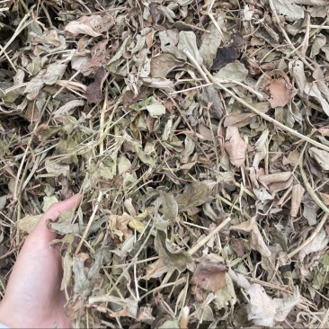 2024年花生秧草料，牛草，羊草，不揉丝