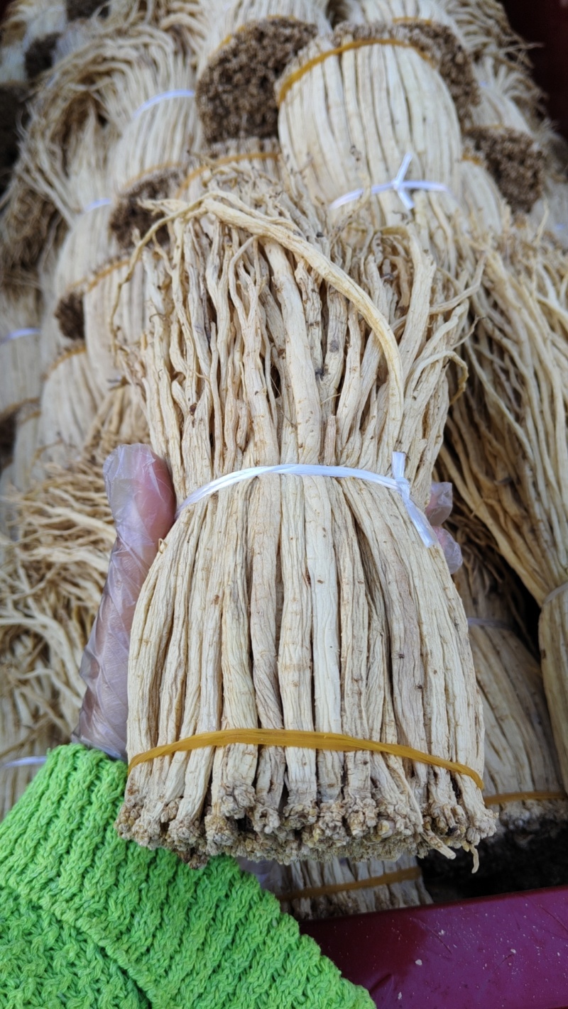 白条党参把子