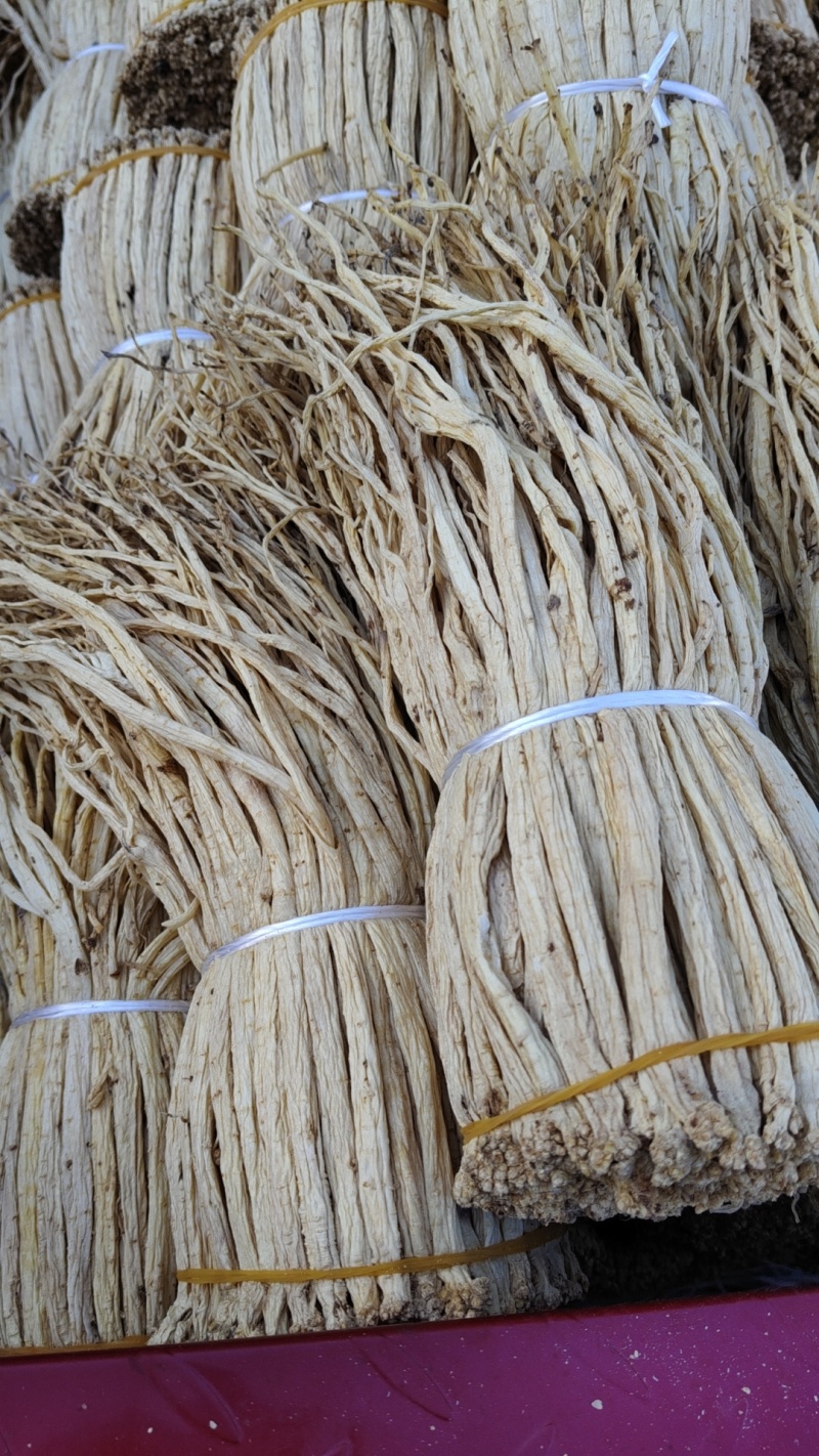 白条党参把子