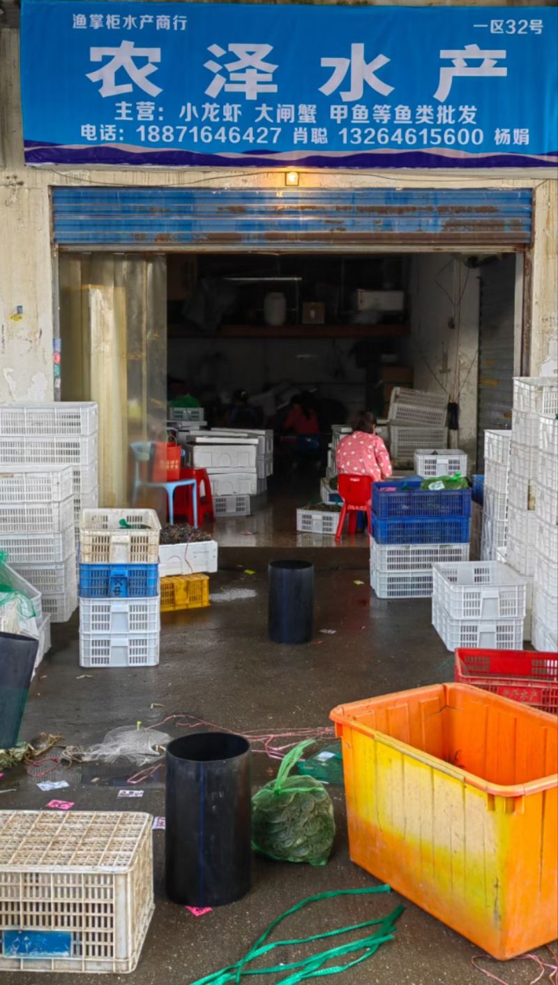 湖北洪湖大闸蟹青壳白底产地直发一手货源保质保量可供商超