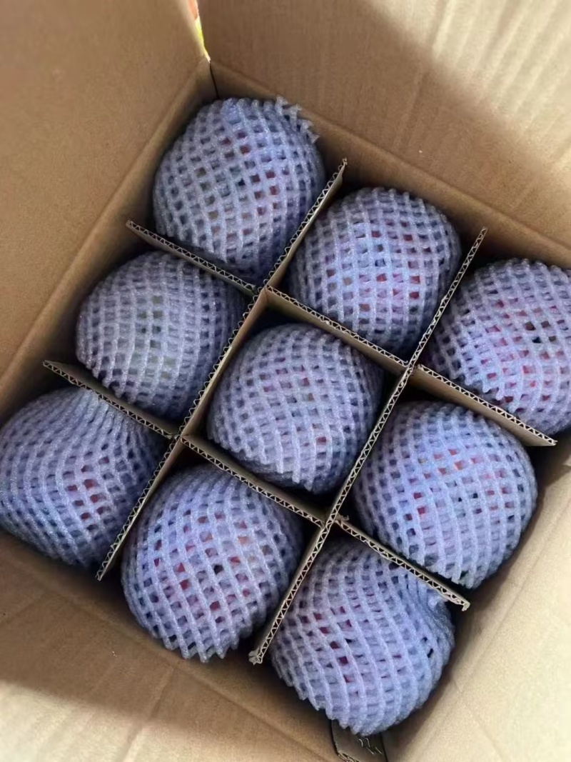 花牛苹果蛇果电商一件代发24小时揽收发货量大底价来拿