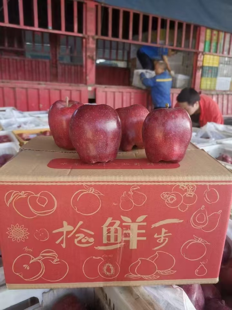 花牛苹果蛇果电商一件代发24小时揽收发货量大底价来拿