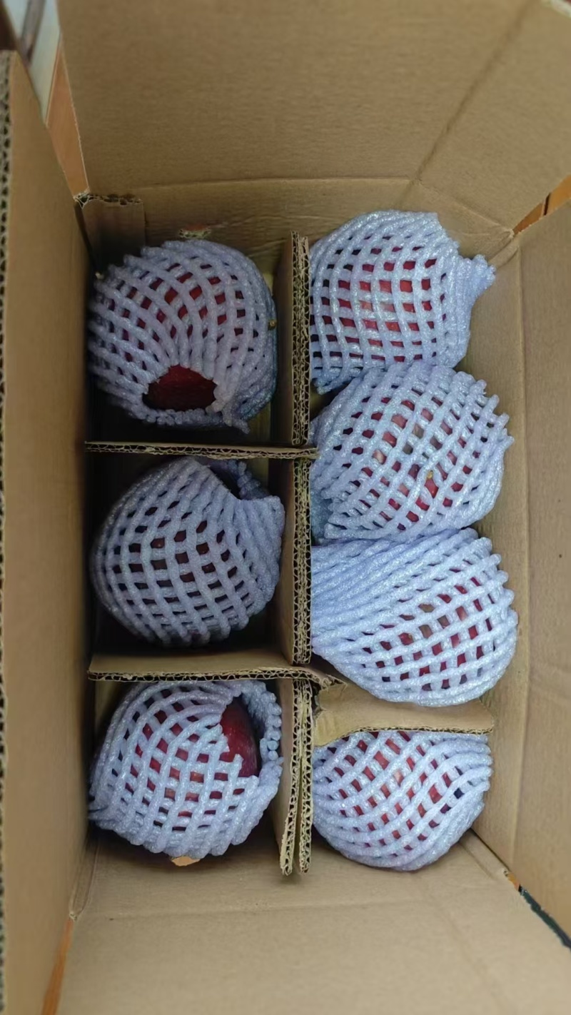 花牛苹果蛇果电商一件代发24小时揽收发货量大底价来拿