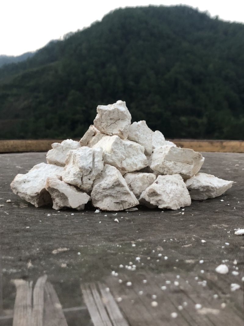 手工云南茯苓白块
