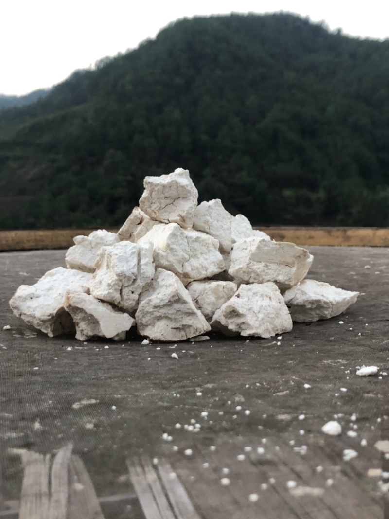 手工云南茯苓白块