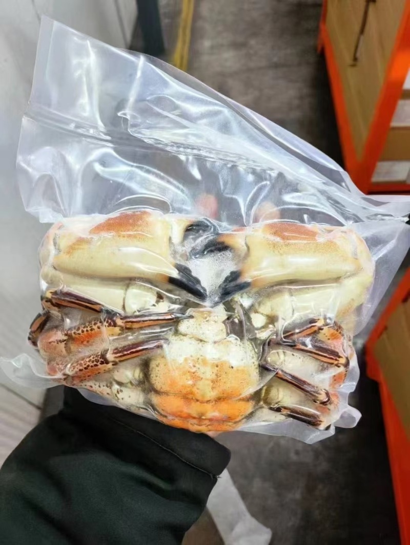面包蟹产地直发量大价可谈电商直播货源拿货可谈