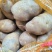 恩施马尔科新土豆湖北恩施小土豆产地直供全国发货电联