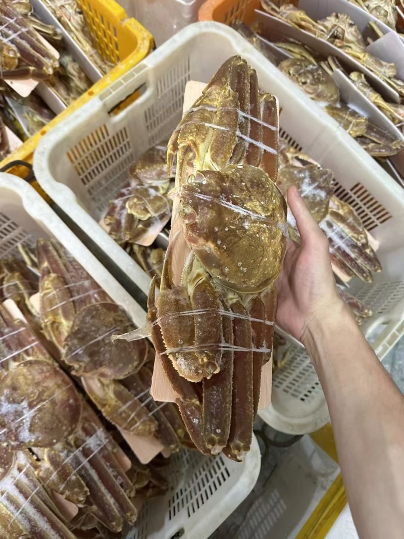 松叶蟹全规格产地直发量大价格可谈质量保证