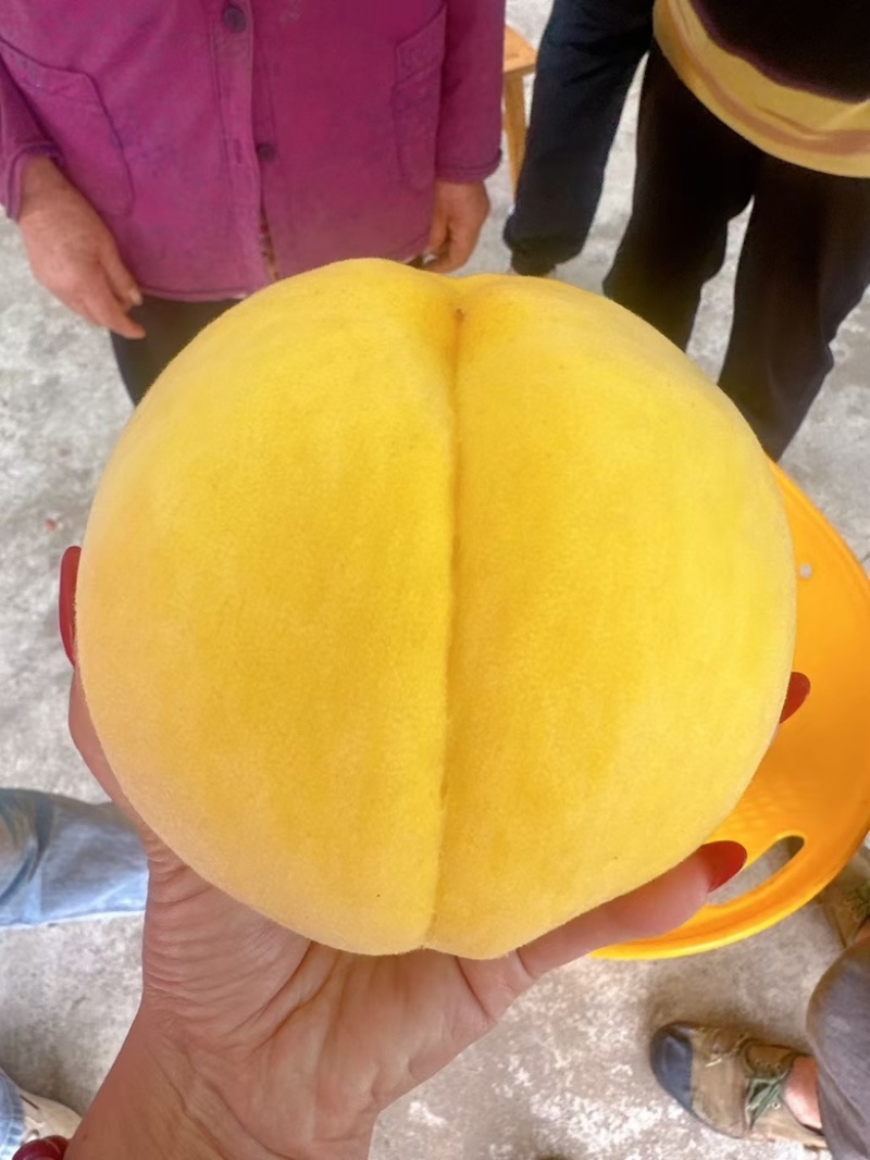 黄桃