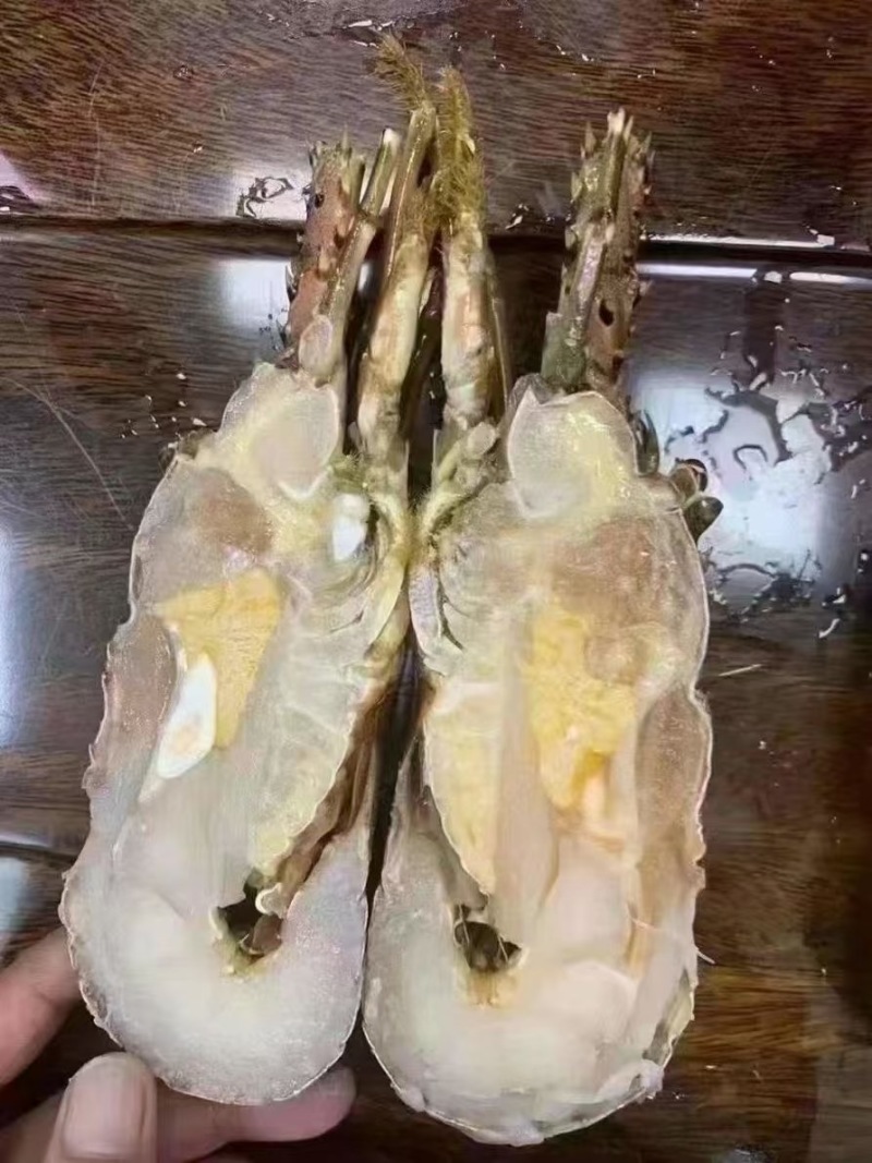 小青龙价格低各规格有货，对接批发市场，档口，电商，一件代