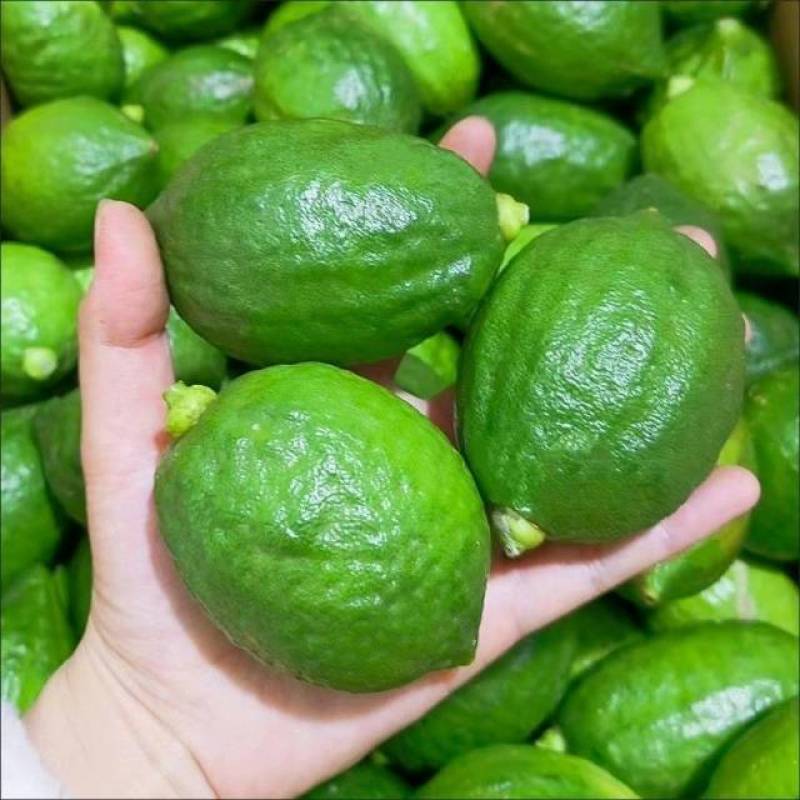 广东香水柠檬