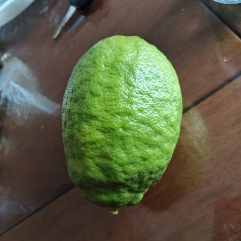 广东香水柠檬