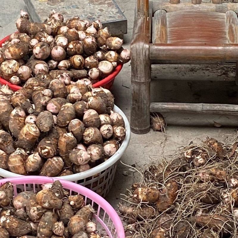自己种的