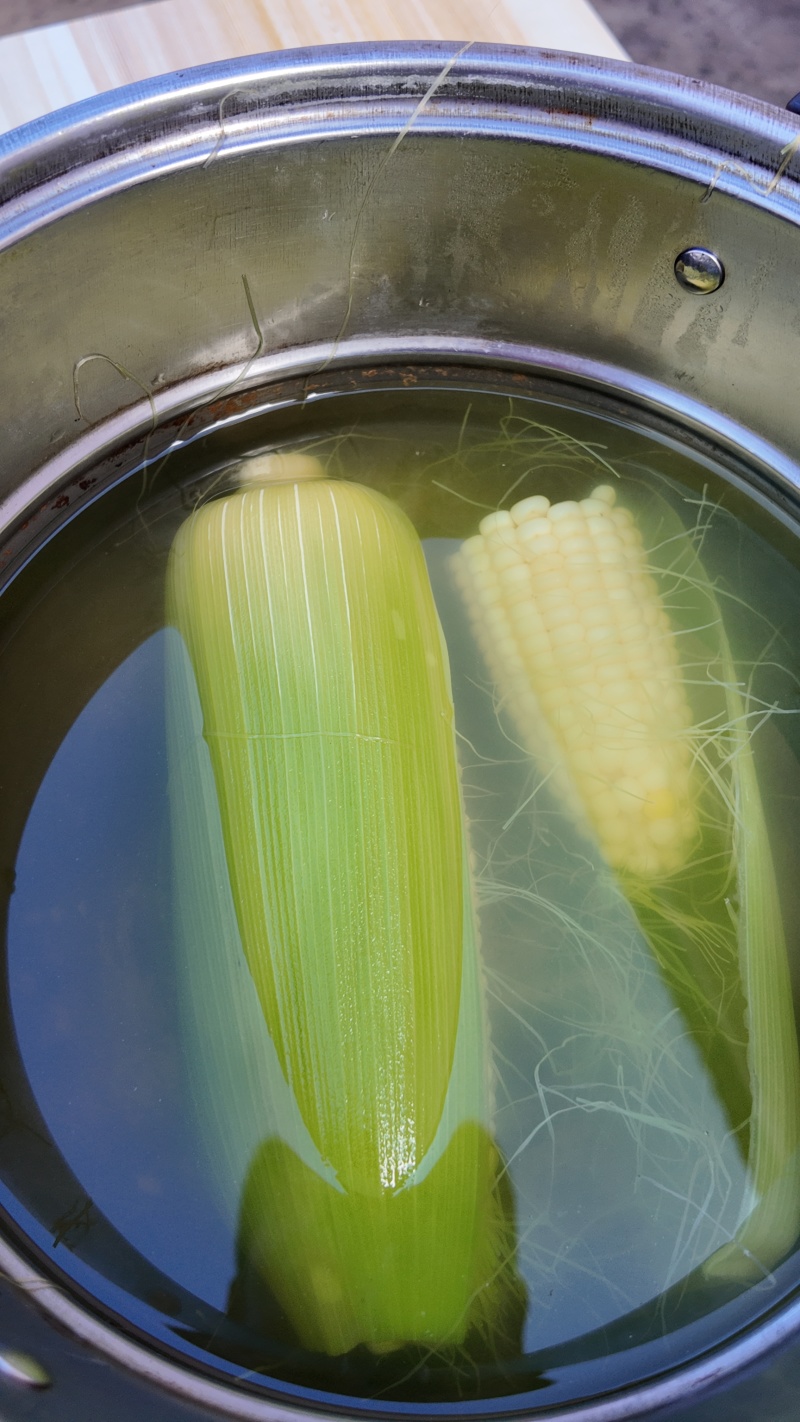 农科糯336甜糯玉米鲜食玉米