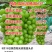 陕西大荔阳光玫瑰品质保证产地直发价格优惠实力商家
