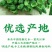产地直销花椒批发江津青花椒