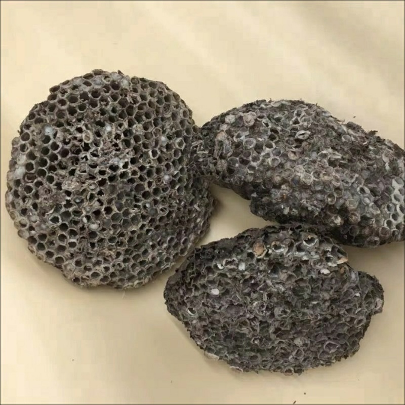 野生马蜂窝
