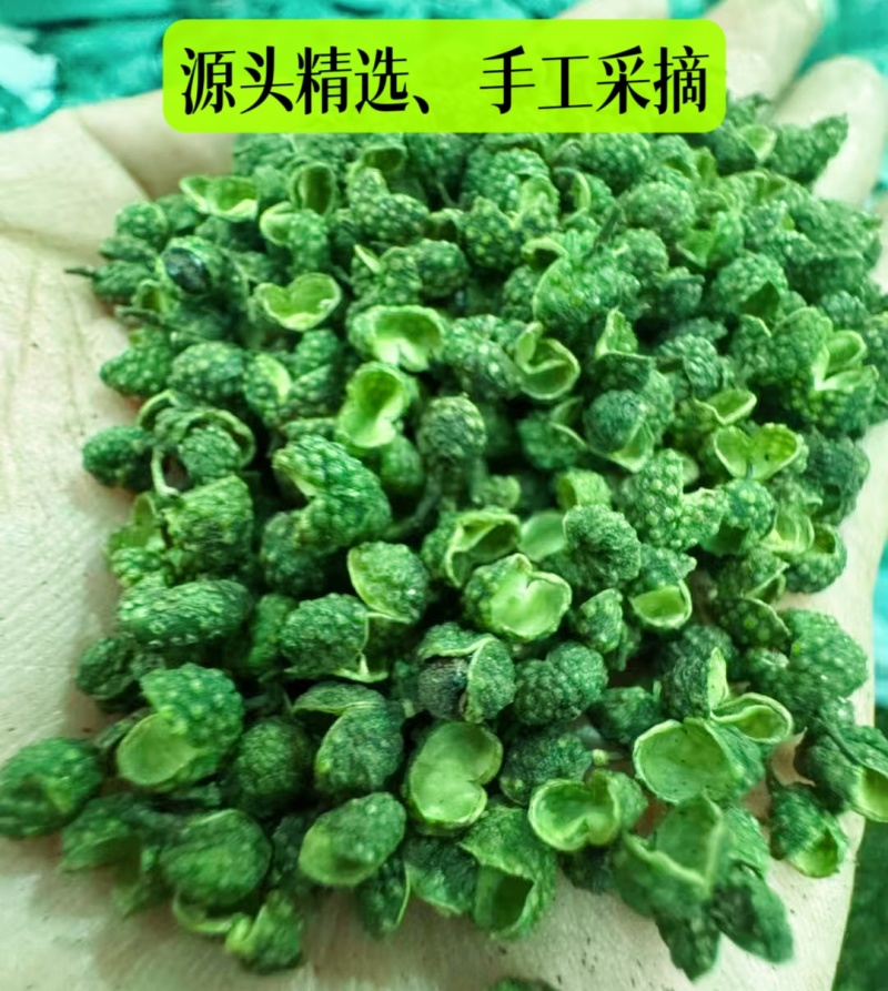产地直销花椒批发江津青花椒