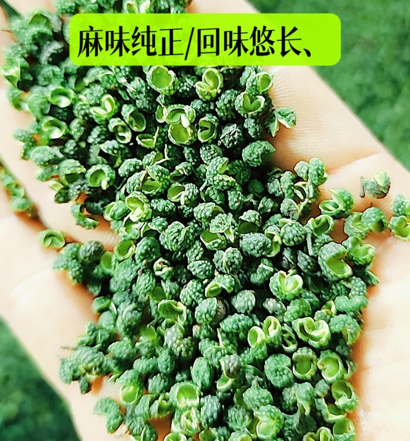 产地直销花椒批发江津青花椒