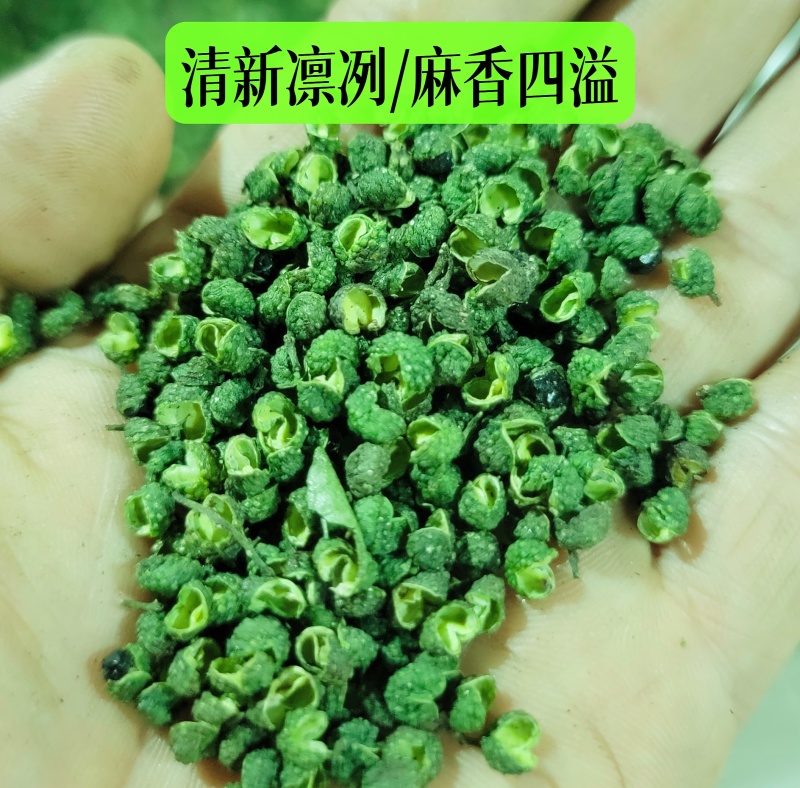 产地直销花椒批发江津青花椒