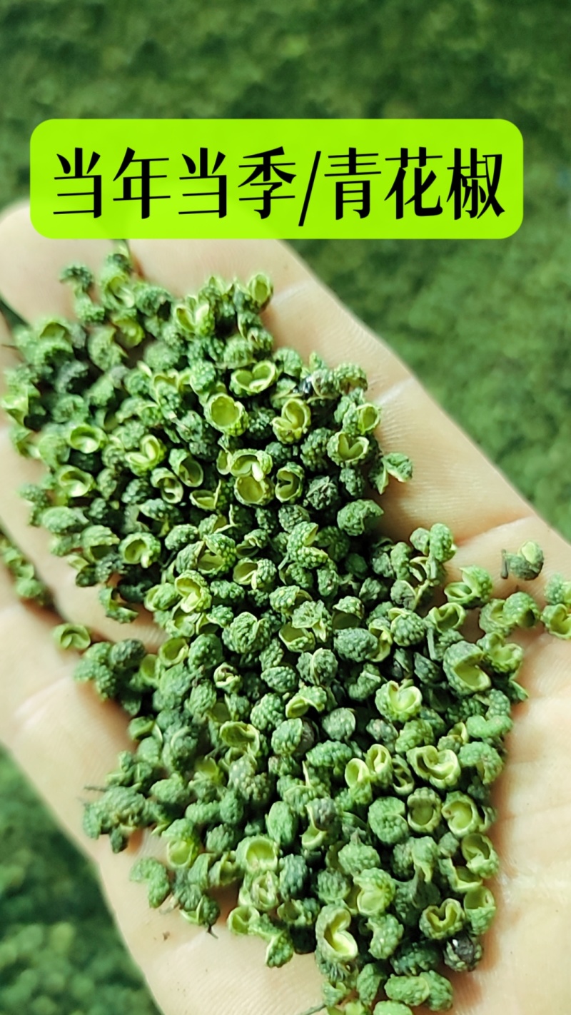 产地直销花椒批发江津青花椒