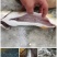 吊水瘦身鱼（草鱼、鲤鱼、花鲢、江团等），每天出鱼15吨