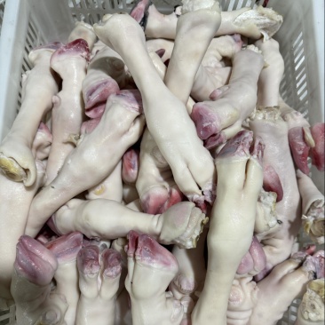 育肥羊蹄，大量现货