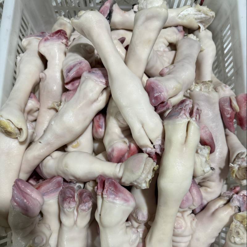 育肥羊蹄，大量现货