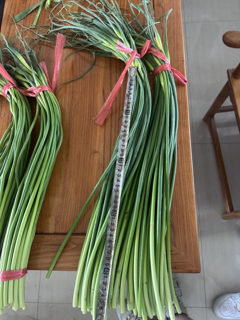 商河蒜薹产地直销，精品红帽、白帽，一手货源全国代发。