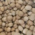 肉豆蔻/玉果/肉蔻/干净无硫新货，包邮。秒发货