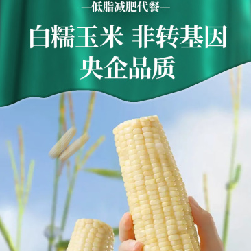 佳农861，万糯2018