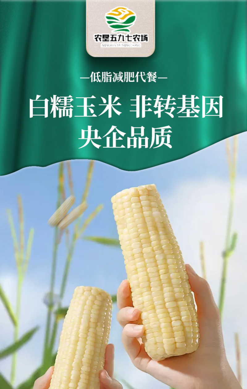 佳农861，万糯2018