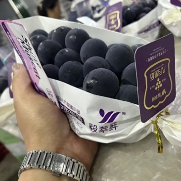 八月皇后葡萄产地直供代收代发货