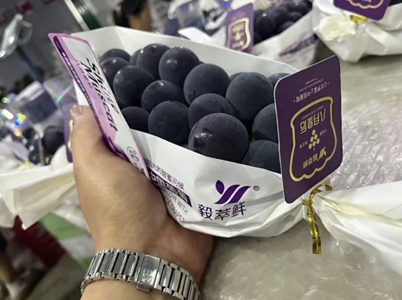 八月皇后葡萄产地直供代收代发货